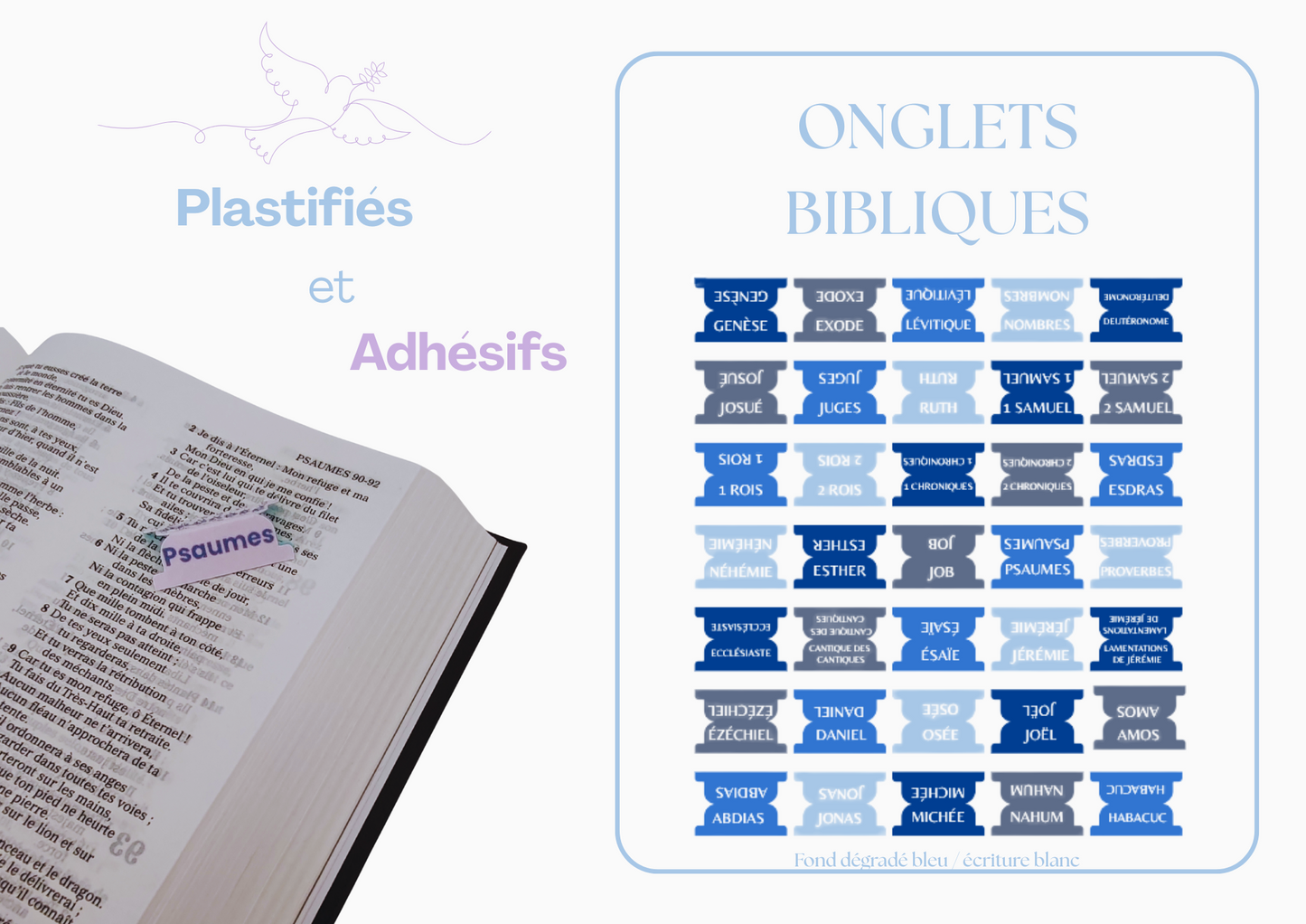 Onlgets Bible en français (66 onglets)