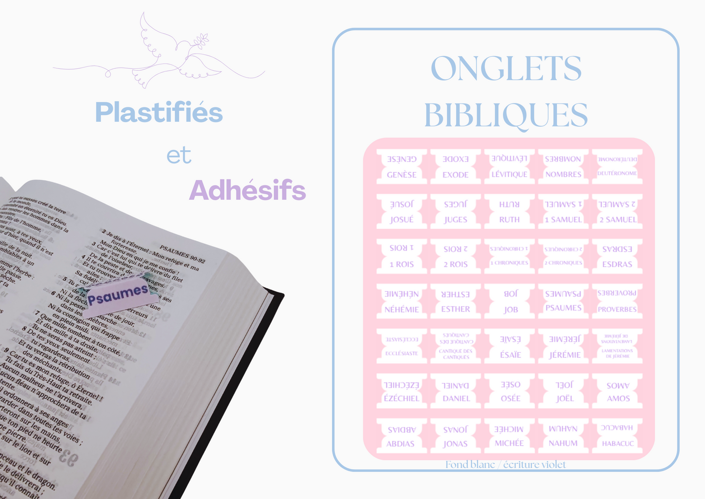 Onlgets Bible en français (66 onglets)